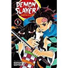 Slayer Demon Slayer: Kimetsu no Yaiba, Vol. 1 (Häftad, 2018)