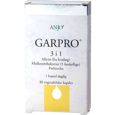 Anjo Garpro 3 i 1 30 st