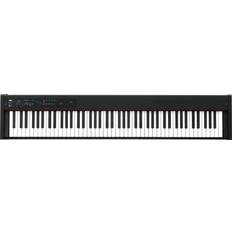 Korg Stage & Digital Pianos Korg D1