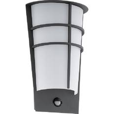 Eglo Breganzo 96018 Wall Flush Light