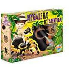 Nature Tarentula R/C