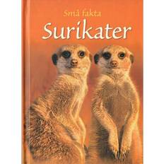 Surikater (Indbundet, 2018)