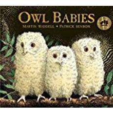 Owl Babies (Inbunden, 2017)