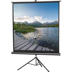Celexon Economy tripod screen Ecran de projection avec trépied 1:1