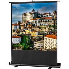 Ultramobile Plus Professional (1:1 111" Portable)