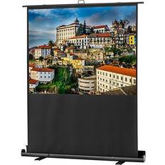 Celexon Ultramobile Plus Professional Schermo per Proiettore 16:9 194 x 109 cm