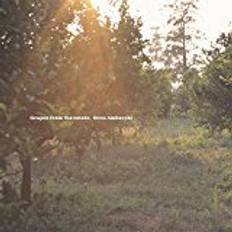 Oren Ambarchi - Grapes From The Estate (Vinyl)