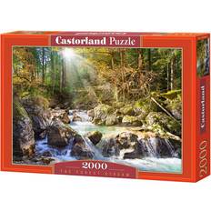 Castorland Klassiska pussel Castorland The Forest Stream 2000 Bitar