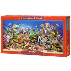 Pussel 4000 bitar Castorland Underwater Life 4000 Bitar