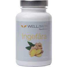 Magnesium ingefära WellAware Ingefära 100 st