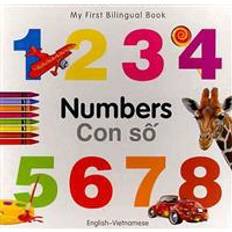 Vietnamese Books Numbers / Con So (Hardcover, 2011)