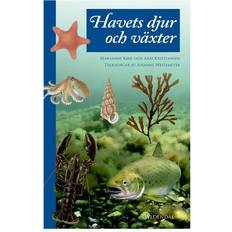 Dyr bøger Havets dyr og planter (Indbundet, 2018)