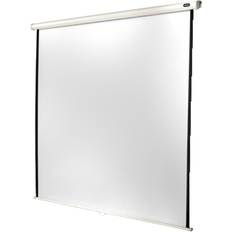 Celexon Economy Manual Screen Ecran de projection montable au plafond, montable sur mur 89" (225 cm) 4:3