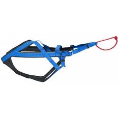 NEEWA Husdjur NEEWA Adjustable Racing Harness XL