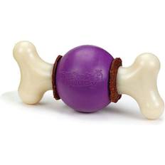 PetSafe Busy Buddy Bouncy Bone L