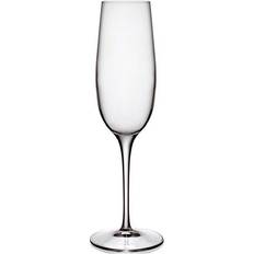 Luigi Bormioli Palace Champagne Glass 23.5cl 6pcs