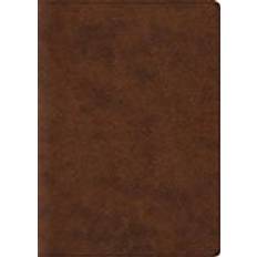 ESV Archaeology Study Bible (Hardcover, 2018)