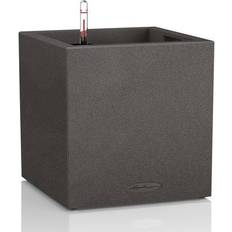 Clarius Canto Cube