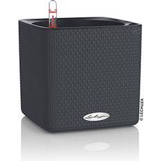 Clarius Cube Color Krukke