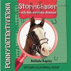 Stormchaser Ponnydetektiverna. Stormchaser - och den mystiska dimman (Ljudbok, MP3, 2018)