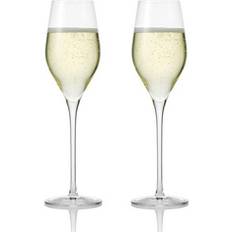 Utan handtag Champagneglas aida Passion Connoisseur Champagneglas 26.5cl 2st