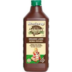 Organic Lawn Feed