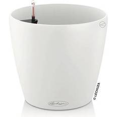 Classico Color Pot