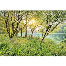 Nature Papiers peints Komar Papier Peint Spring Lake National Geographic 368x254cm Papier