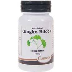 Camette Fettsyror Camette Ginkgo Biloba 90 st