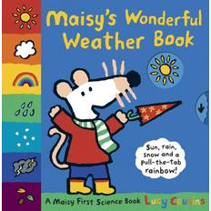 Böcker Maisys wonderful weather book