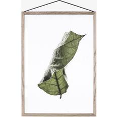 Paper Collective Floating Leaves 04 Plakat