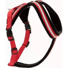 Halti Harness M