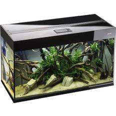 Aquael Husdjur Aquael Glossy
