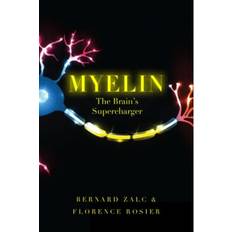 Supercharger Myelin: The Brain's Supercharger