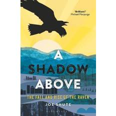 A Shadow Above: The Fall and Rise of the Raven