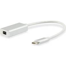 USB C - Mini DisplayPort