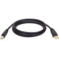 Cables Tripp Lite Hi-Speed USB A-USB B 2.0 10.2ft