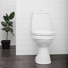 EcoFlush (3002)