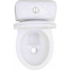 EcoFlush (3001)