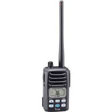 IC-M87