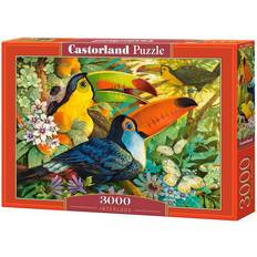 Castorland Interlude 3000 Pieces