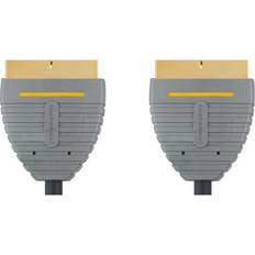 Scart-Scart