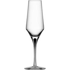 Erika Lagerbielke Champagneglas Orrefors Metropol Champagneglas 27cl