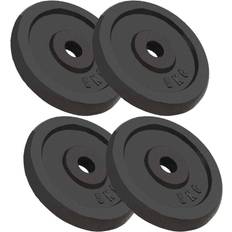 vidaXL Weight Plates 4X5Kg Cast Iron