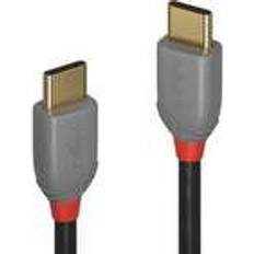 Lindy Anthra Line USB C-USB C 2.0