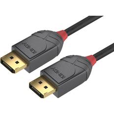 Anthra Line DisplayPort - DisplayPort