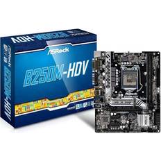Asrock B250M-HDV