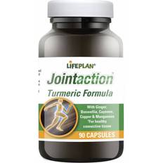 Lifeplan Joint Action Turmeric Formula 1000mg 90 pcs