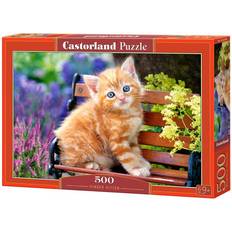 Castorland Ginger Kitten 500 Pieces