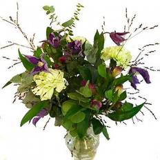 Klematis Flowerhouse.se Feeling